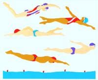 Swimmers Stickers by Mrs. Grossman's