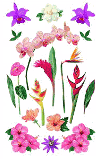Tropical Flowers Stickers by Mrs. Grossman's
