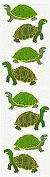 Turtles II Stickers by Mrs. Grossman's
