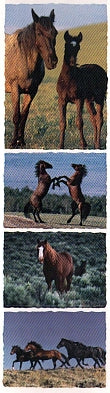 Horse II Stickers by Mrs. Grossman's