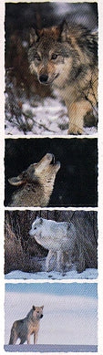Wolf Stickers by Mrs. Grossman's