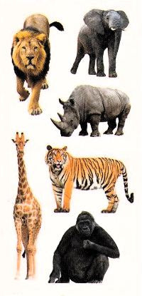 Zoo Animals II Stickers by Paper House